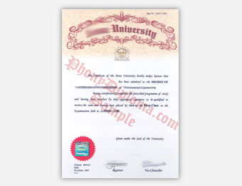 Anna University (2) - Fake Diploma Sample from India